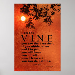 Póster Soy la vid… (escritura: Juan 15: 5)