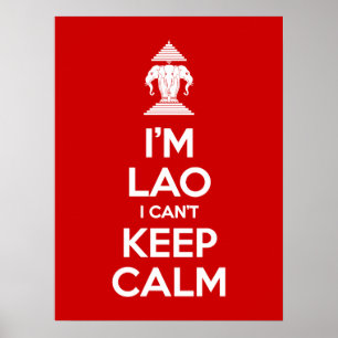 Póster Soy Lao, no puedo mantener la calma