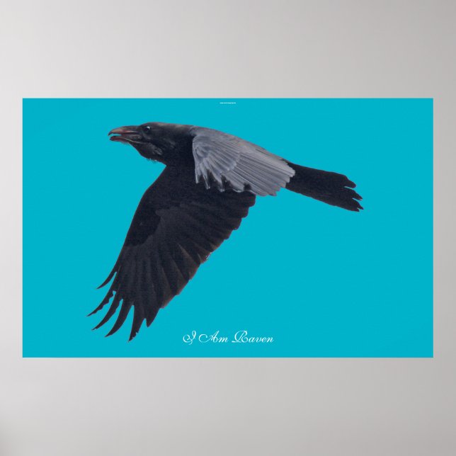 Póster SOY RAVEN V Flying Black Raven Art Poster (Frente)