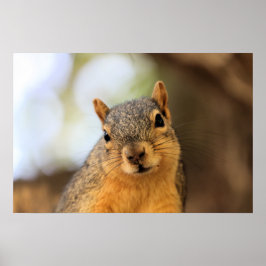 Póster ¡Soy secretamente subversivo! ¡Mwah, jaja!