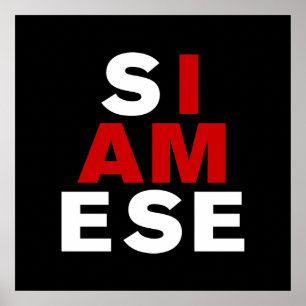 PÓSTER SOY SIAMÉS