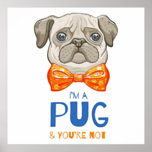 Póster Soy Un Pug, Un Gracioso Regalo De Pug, Un Regalo D