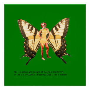 Póster ¿Soy una mujer que sueña con ser una mariposa?