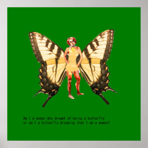 Póster ¿Soy una mujer que sueña con ser una mariposa?