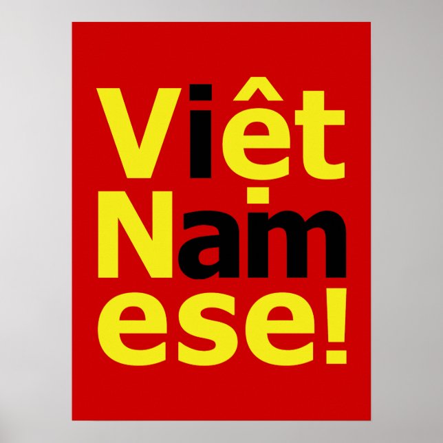 Póster ¡soy Viene Namese! (Frente)