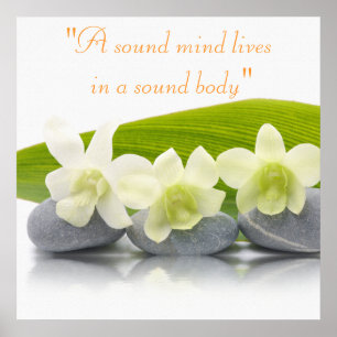 Póster Spa Treatment Poster