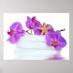 Póster Spa tropical