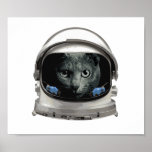 Póster Space Helmet Astronaut Cat<br><div class="desc">This cat boldly goes where no cat has gone before.  Space cat!</div>