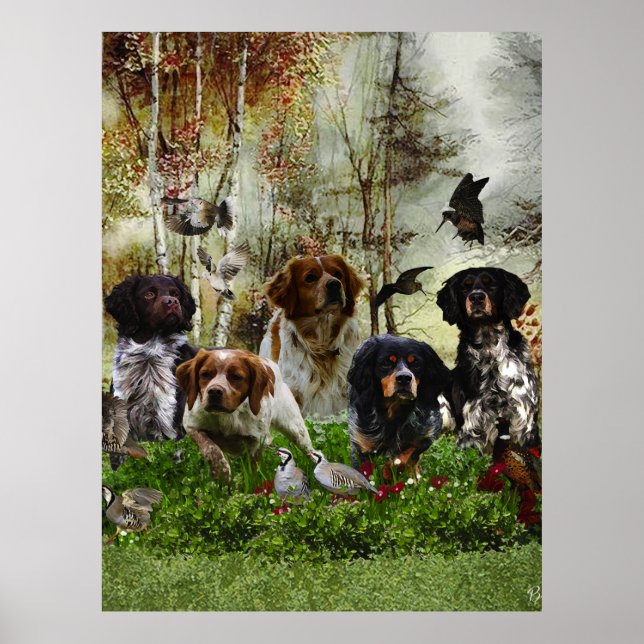 Póster Spaniels de Bretaña, Caza de Aves (Frente)