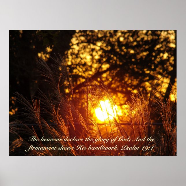 Póster Sparkling Grass Sunset poster (Frente)