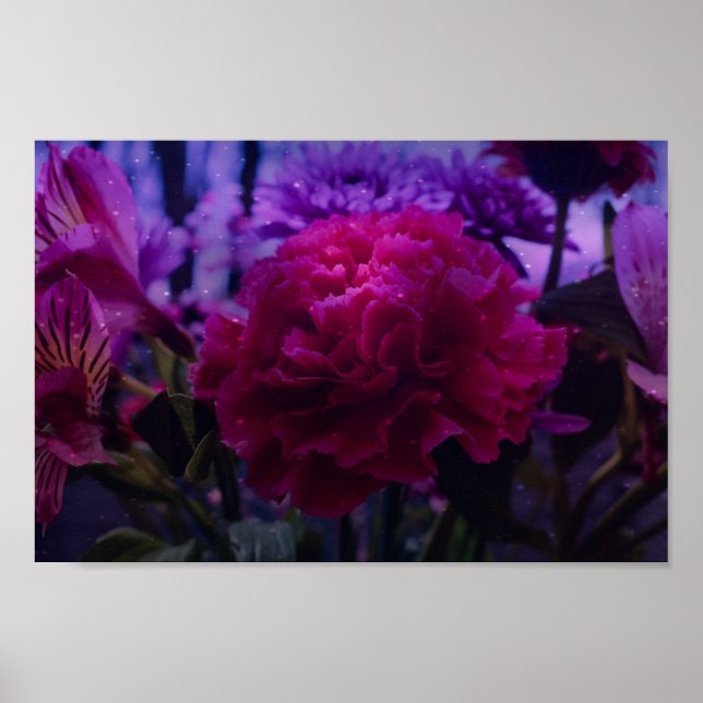 Póster Sparkly Carnation (Frente)