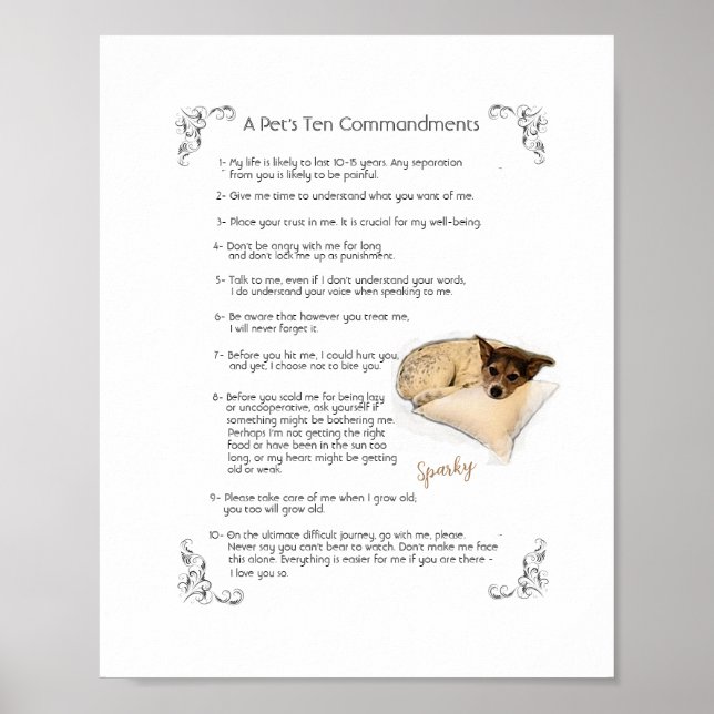 Póster SPARKY a - Poster (Frente)