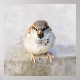 Póster Sparrow - El guerrero