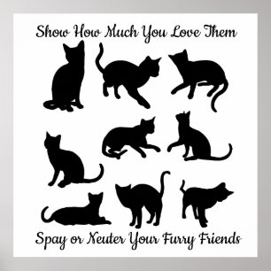 Póster Spay or Neuter