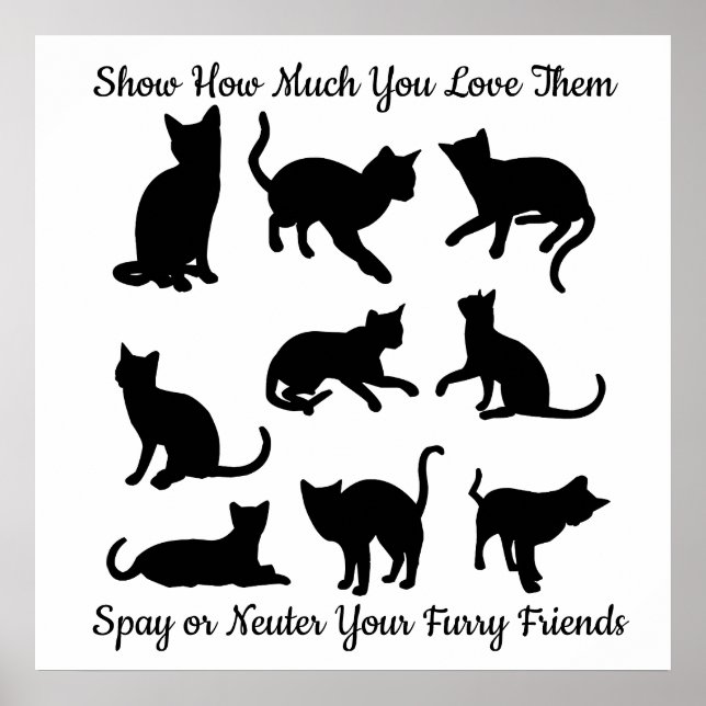 Póster Spay or Neuter (Frente)