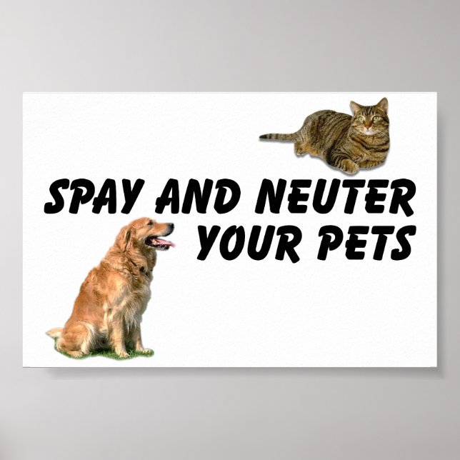 Póster Spay y Neuter (Frente)
