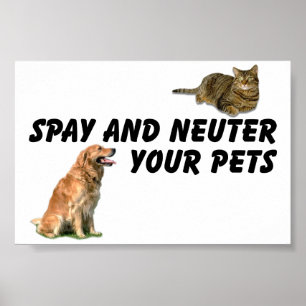 Póster Spay y neutralice