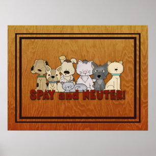 Póster Spay y neutralice a sus mascotas