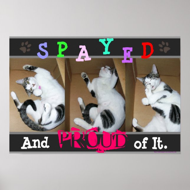 Póster Spayed and Orud of It (Frente)