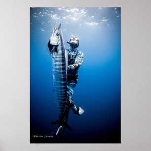 Póster Spearfishing wahoo