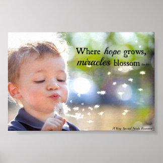 Póster Special Needs Miracles Blossom Poster