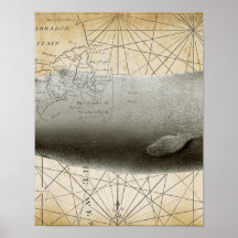 Sperm Whale Vintage Nautical Map Part2