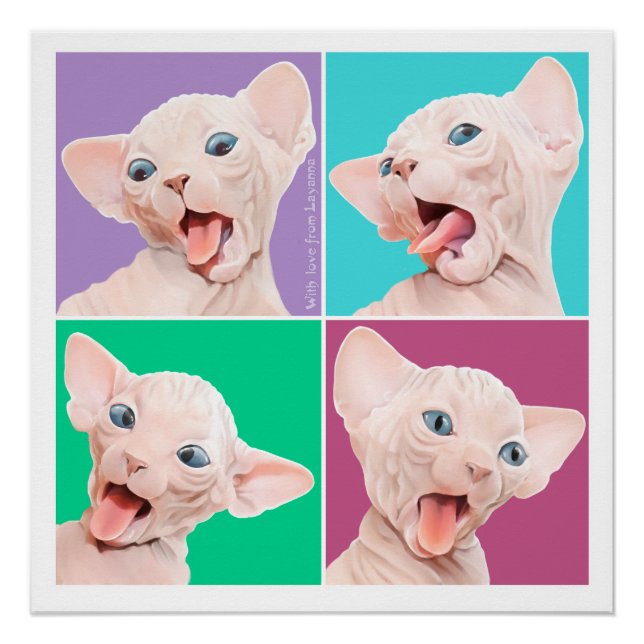 Póster Sphynx cat (Anverso)