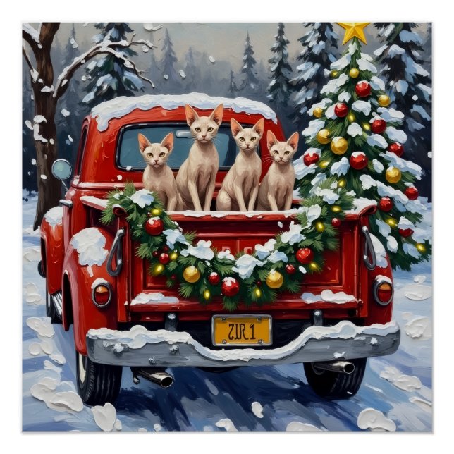 Póster Sphynx Cat Christmas Red Truck Holiday (Anverso)