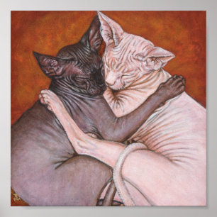 Póster Sphynx Sphinx Cat Pintura Art