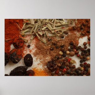 Póster Spices and Condiments