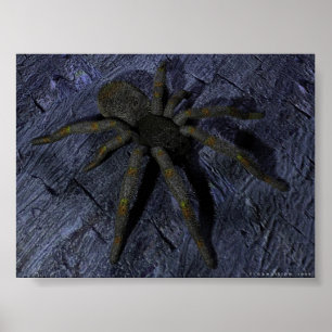 Póster Spider