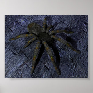 Póster Spider