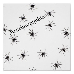 Póster Spider