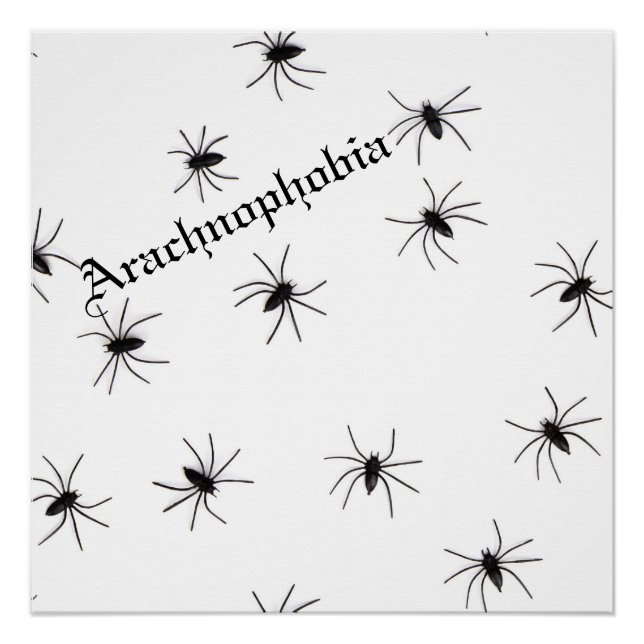 Póster Spider (Anverso)