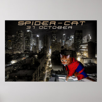 Póster spider-cat