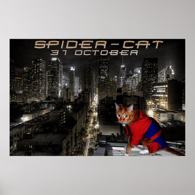 Póster spider-cat (Frente)