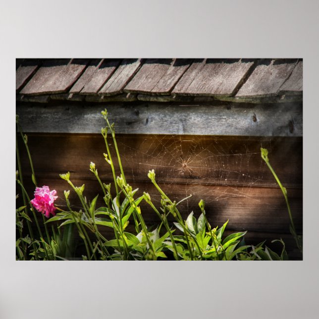 Póster Spider - Charlottes Web (Frente)