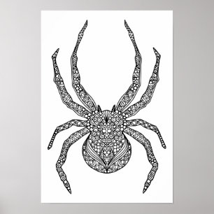 Póster Spider Doodle 2