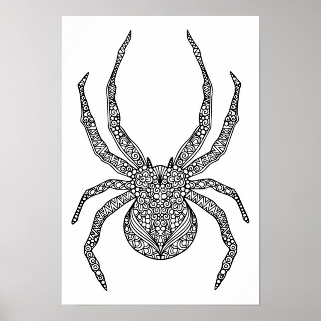 Póster Spider Doodle 2 (Frente)