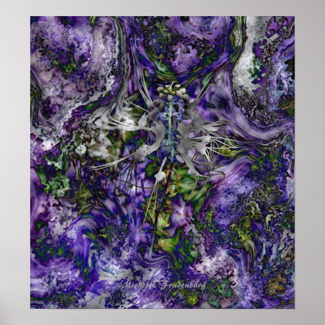 Póster Spider Flower (Frente)