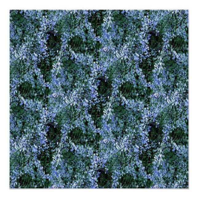 Póster Spider Haven... (Anverso)