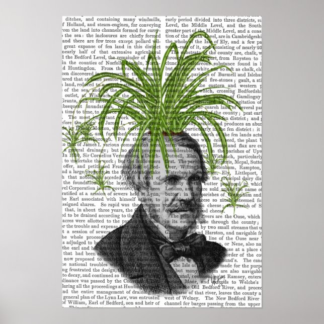 Póster Spider Plant Head (Frente)