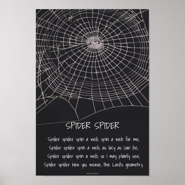 Póster Spider Spider (Frente)