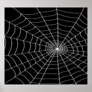 Póster Spider Web