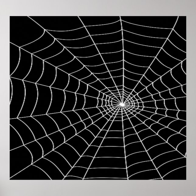 Póster Spider Web (Frente)