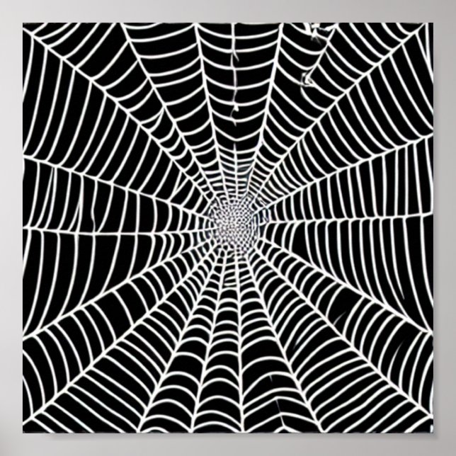 Póster Spider Web (Frente)