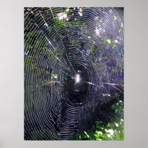 Póster Spider Web