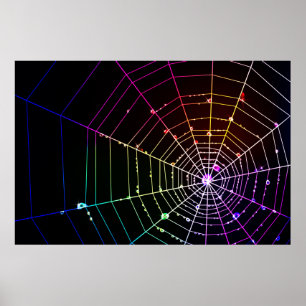 Póster Spider Web 1 Print