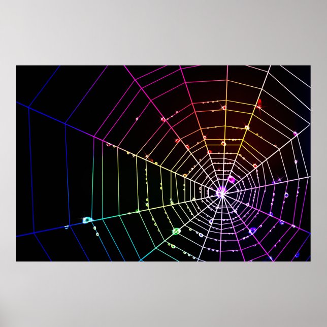 Póster Spider Web 1 Print (Frente)
