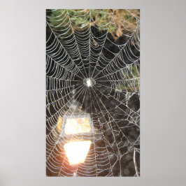 Póster Spider Web en la tecnología de las fotografías noc